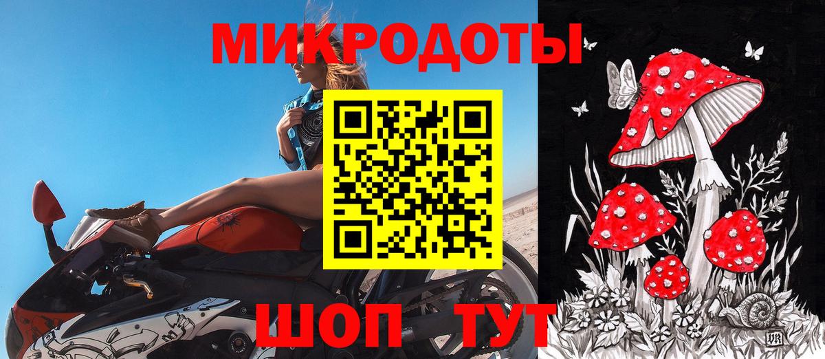 купить наркотик  Вход с VPN  Магадан  Псилоцибиновые грибы Cubensis  Галлюциногенные грибы GOLDEN TEACHER 